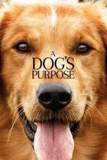 Watch A Dog’s Purpose (2017) Eng Sub 123Movies