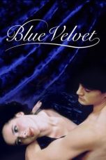 Watch Blue Velvet (1986) Eng Sub 123Movies