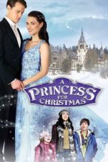 Watch A Princess for Christmas (2011) Eng Sub 123Movies