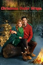 Watch Christmas Under Wraps (2014) Eng Sub 123Movies