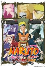 Watch Naruto: The Cross Roads (2009) Eng Sub 123Movies