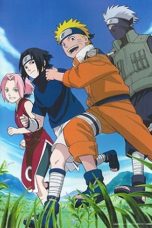 Watch Hidden Leaf Village Grand Sports Festival! (2004) Eng Sub 123Movies