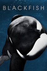 Watch Blackfish (2013) Eng Sub 123Movies