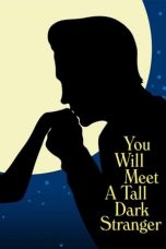 Watch You Will Meet a Tall Dark Stranger (2010) Eng Sub 123Movies