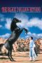 Watch The Black Stallion Returns (1983) Eng Sub 123Movies