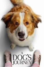 Watch A Dog’s Journey (2019) Eng Sub 123Movies