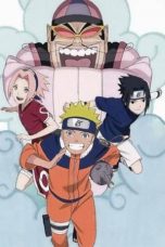 Watch Naruto, the Genie, and the Three Wishes, Believe It! (2010) Eng Sub 123Movies