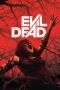 Watch Evil Dead (2013) Eng Sub 123Movies