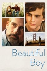 Watch Beautiful Boy (2018) Eng Sub 123Movies