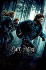 Watch Harry Potter and the Deathly Hallows: Part 1 (2010) Eng Sub 123Movies