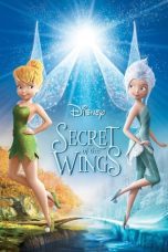 Watch Secret of the Wings (2012) Eng Sub 123Movies