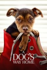 Watch A Dog’s Way Home (2019) Eng Sub 123Movies