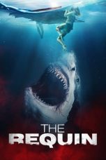 Watch The Requin (2022) Eng Sub 123Movies