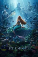 Watch The Little Mermaid (2023) Eng Sub 123Movies