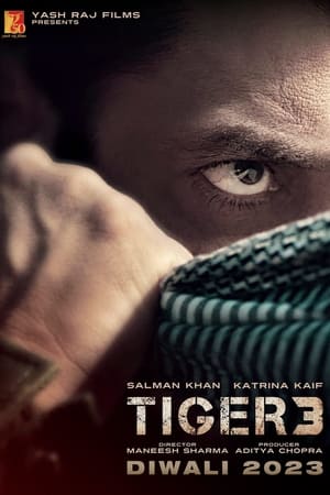 Watch Tiger 3 (2023) Eng Sub 123Movies