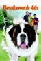 Watch Beethoven’s 4th (2001) Eng Sub 123Movies