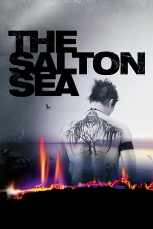 Watch The Salton Sea (2002) Eng Sub 123Movies