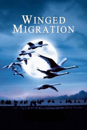 Watch Winged Migration (2001) Eng Sub 123Movies