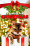 Watch A Bengal for Christmas (2023) Eng Sub 123Movies