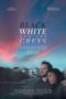 Watch Black White and the Greys (2023) Eng Sub 123Movies