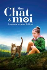 Watch A Cat’s Life (2023) Eng Sub 123Movies