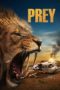 Watch Prey (2024) Eng Sub 123Movies